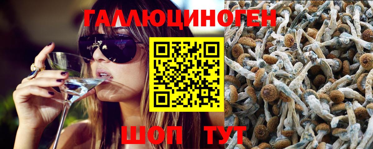 Галлюциногенные грибы Cubensis  Псилоцибиновые грибы прущие грибы  Вход с VPN  Усинск 